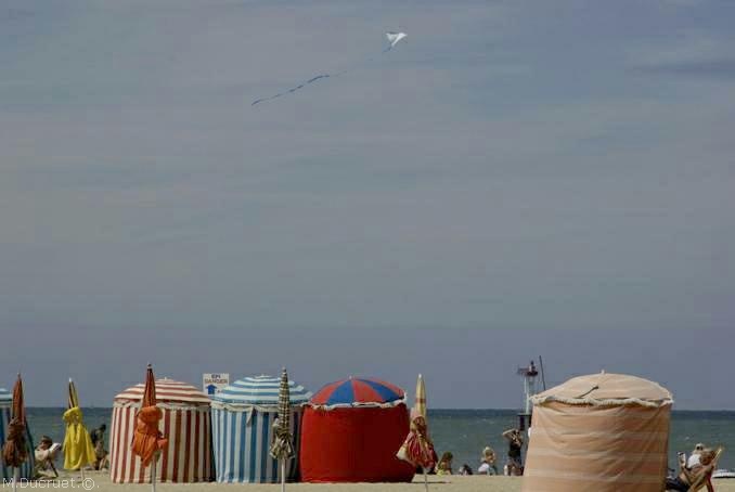 Plage de Trouville- cerf-volant- photo michel ducruet-2010