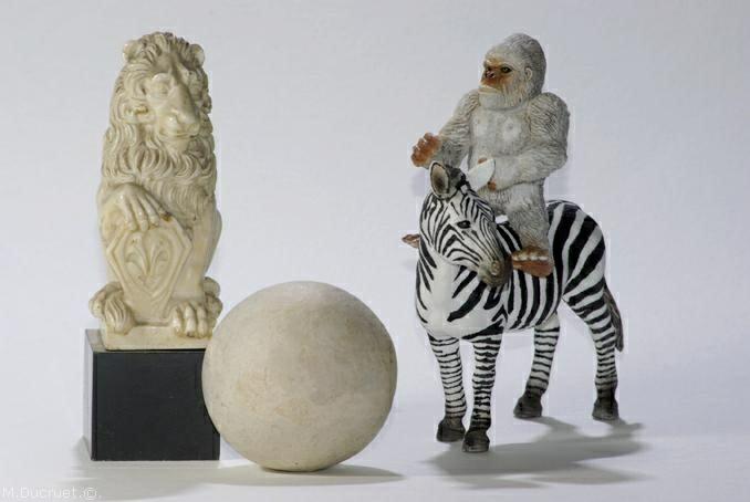 lion, zebre, boule, singe, photo michel ducruet-2010