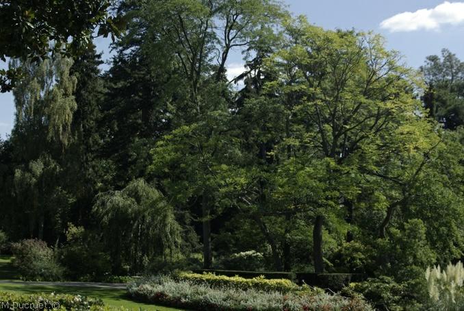 jardin des plantes Nantes-photo michel ducruet-2010