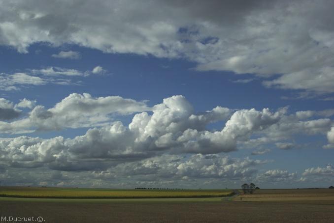 campagne d'argentan-2010-michel ducruet