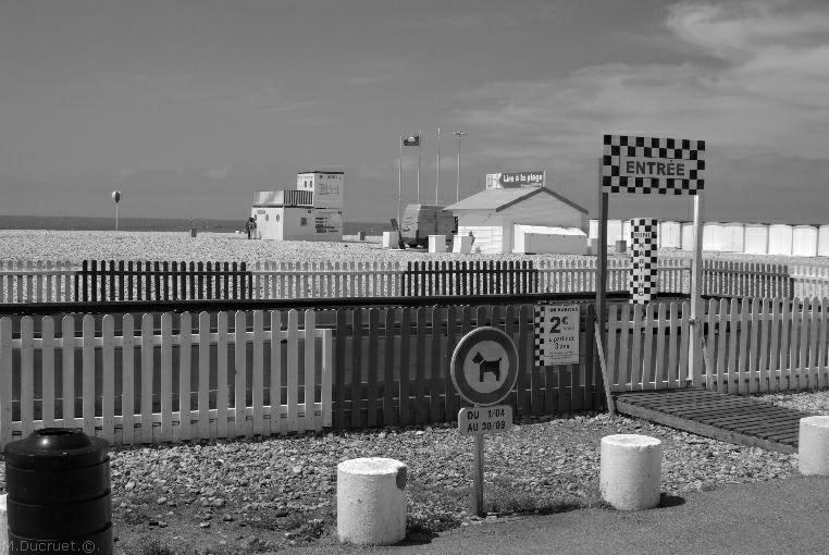 le Havre- lire a la plage-ducruet-2010