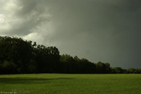 paysage en aout - michel ducruet