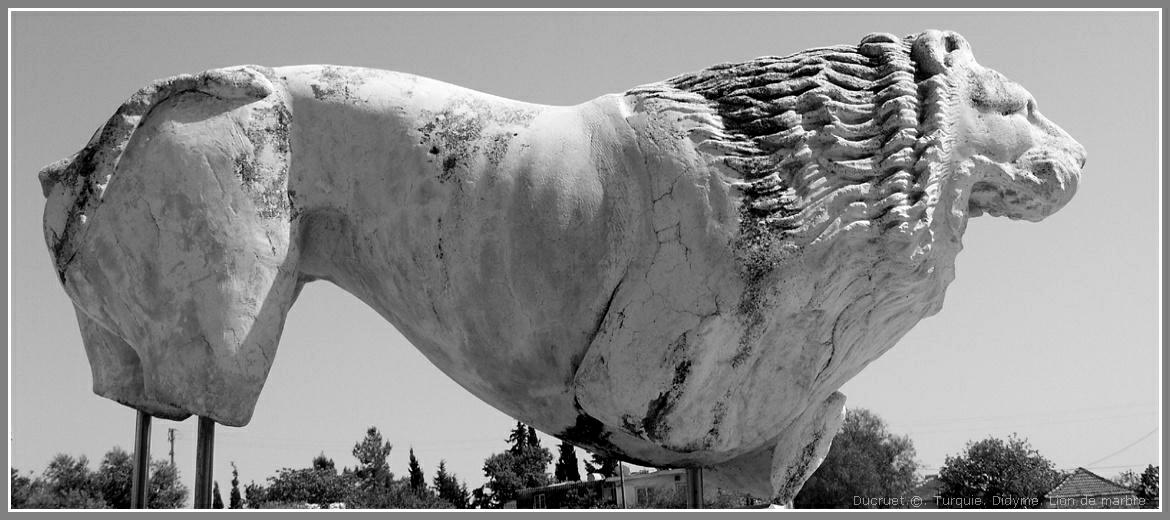 Lion de Didyme. Photo michel ducruet.2012