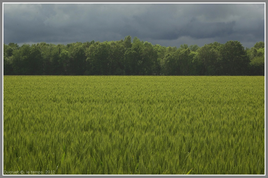 Le temps. photo michel ducruet- Normandie-2012