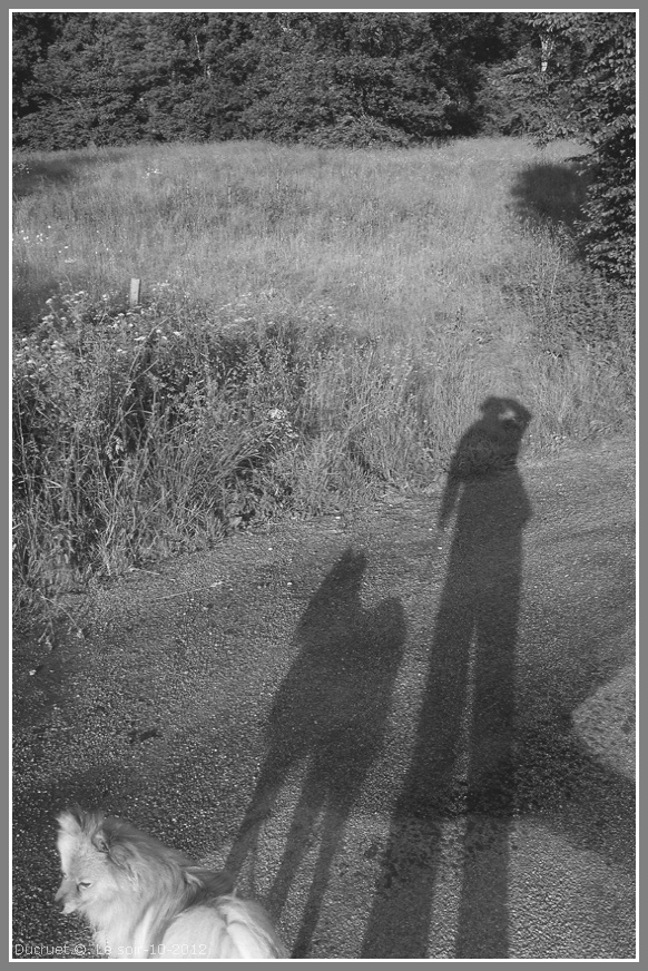 soir en Normandie-photo michel ducruet-2012