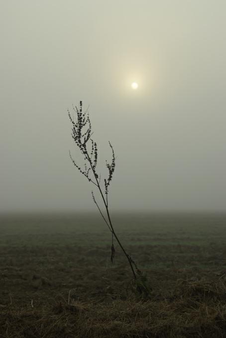 soleil de septembre.Verneusses. photo michel ducruet