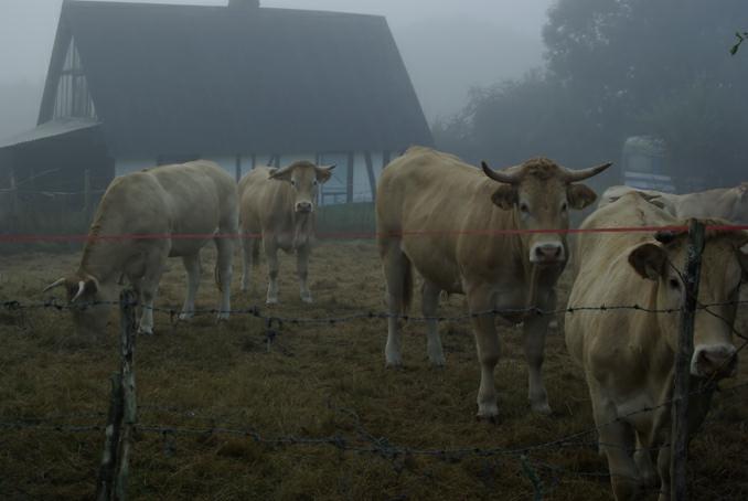 petit matin. photo michel ducruet