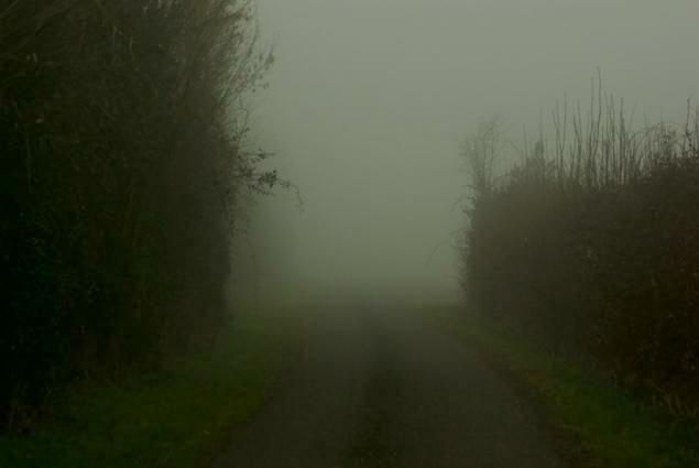 Chemin qui ne mne nulle part. brumes. photo michel ducruet