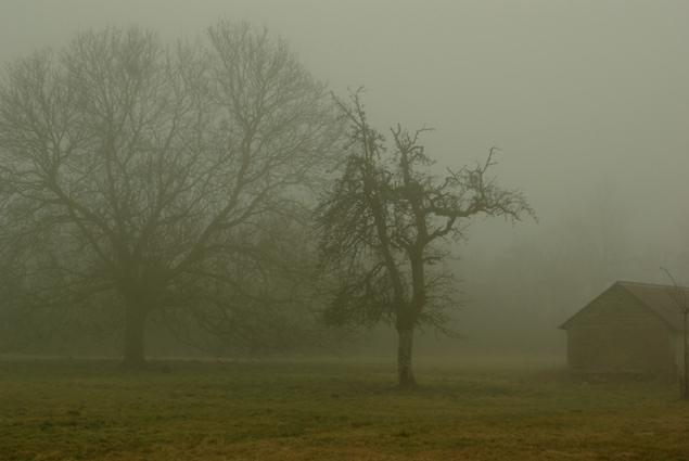 paysage normand. brumes.photo michel ducruet