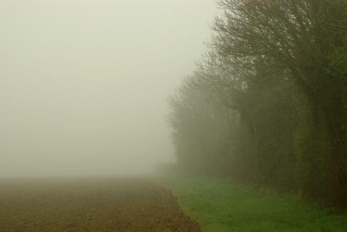 dans le brouillard