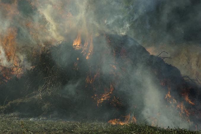 feu de broussailles. photo michel ducruet.2009