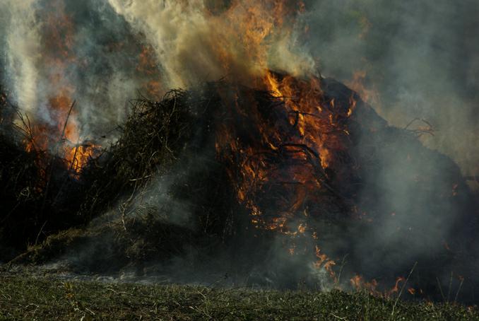 feu de broussailles. Verneusses. photo michel ducruet