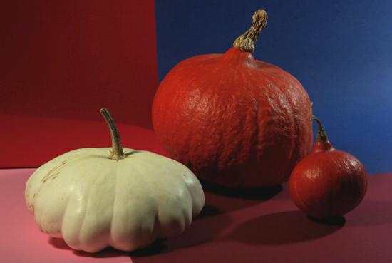 bleu, blanc, rouge... photo michel ducruet.2009