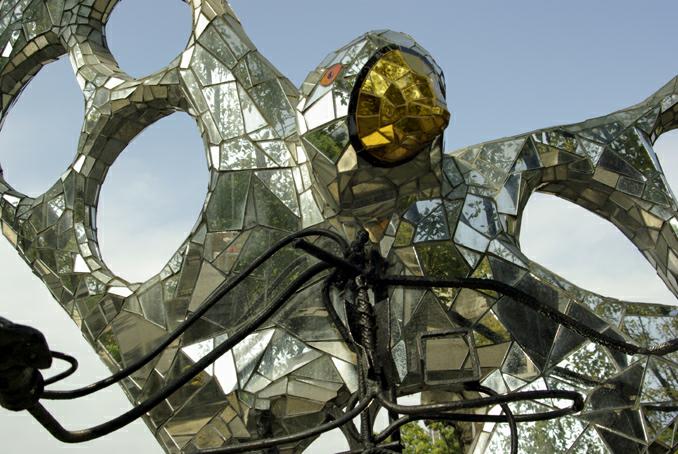 oiseau aux miroirs, photo michel ducruet