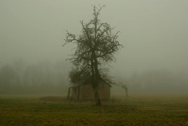 paysage normand. brumes du matin. photo michel ducruet.