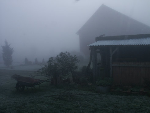 verneusses. petit matin dans la brume. photo michel ducruet