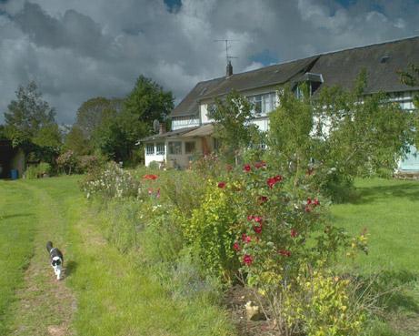 promenade de chat. verneusses. photo michel ducruet;