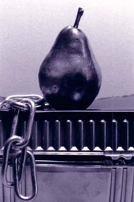 photo michel ducruet, nature morte  la poire d'argent, still life with a silvered pear