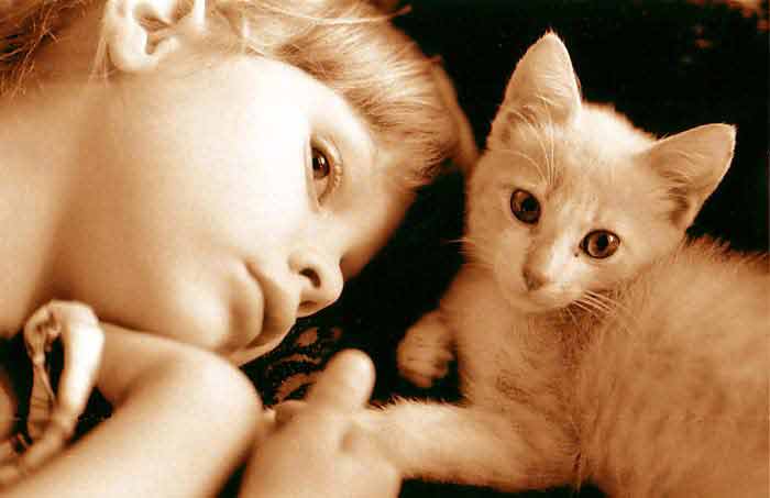 photo michel ducruet, enfant au chat roux, child with ginger cat