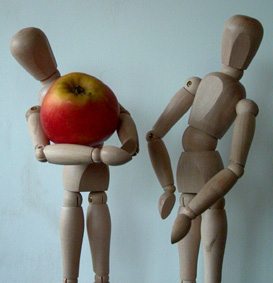 pomme de la gense. photo michel ducruet
