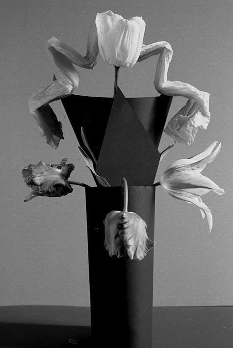 bouquet noir et blanc, still life black and white