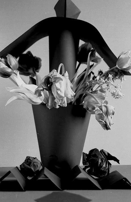 bouquet noir et blanc,  black and white bouquet