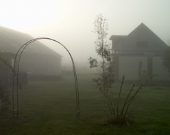 Brume du matin. Verneusses.