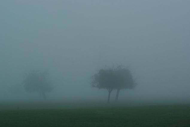 Normandie. Fvrier  Verneusses. photo michel ducruet.