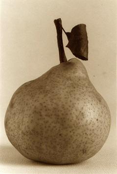 photo michel ducruet, poire, pear