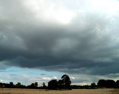 paysage de normandie. photo michel ducruet. verneusses.