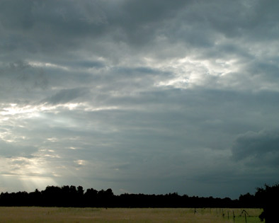 paysage de normandie. photo michel ducruet. verneusses.