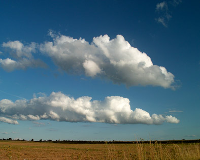 paysage de normandie. photo michel ducruet. verneusses.