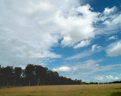 paysage de normandie. photo michel ducruet. verneusses.