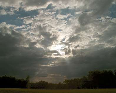 soleil du matin. verneusses