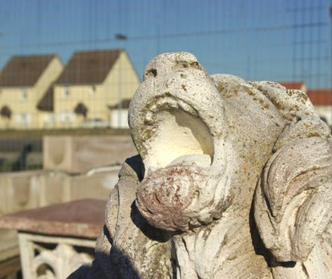 chien fou.  glos-la-ferrire. photo michel ducruet.