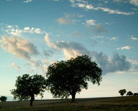 paysage de Touraine.