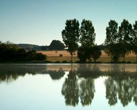 tang de Touraine. photo michel ducruet