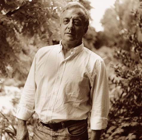 Henri Maccheroni , jardin de Monet  Giverny. rolleiflex. tirage baryte. virage spia