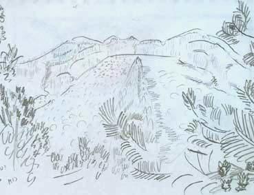 Montagne de Florac, dans le haut Tarn. paysage dcrit par Stevenson.