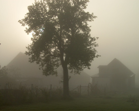 matin dans la brume. verneusses.