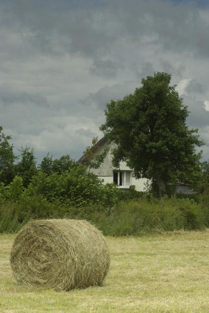 paysage. Verneusses.  photo michel ducruet