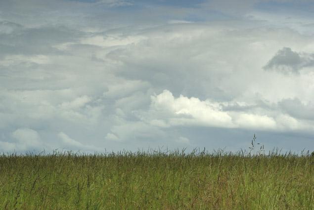 paysage, normandie,verneusses.photo michel ducruet