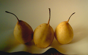 trois poires. verneusses. photo lichel ducruet