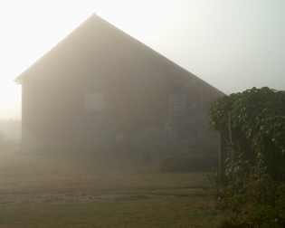 table dans la brume