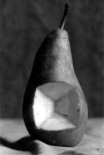 photo michel ducruet, poire decoupee, pear