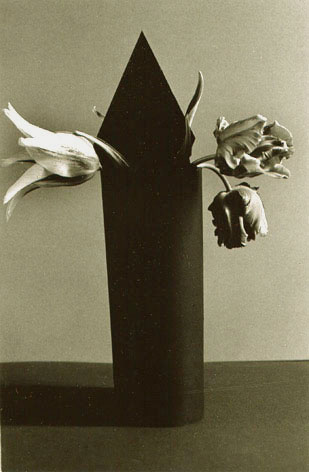 photo michel ducruet, nature morte avec tulipes, still life with tulips