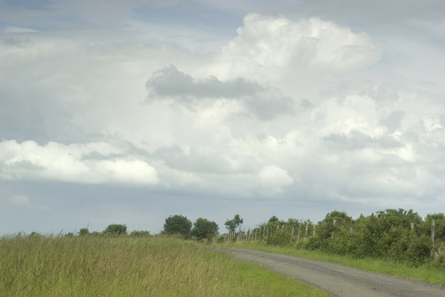 paysage normand, landscape normandy,  Verneusses