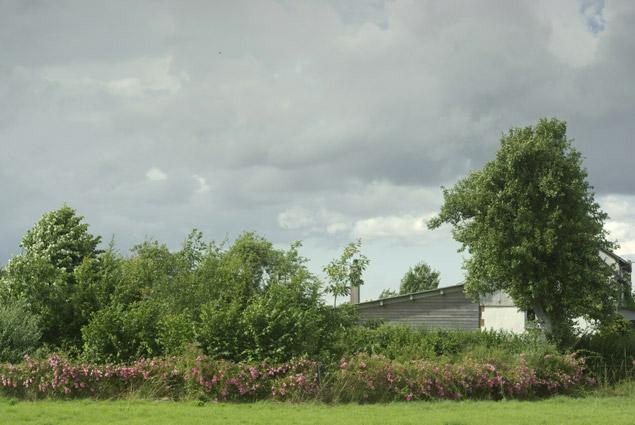 campagne normande . verneusses. photo michel ducruet