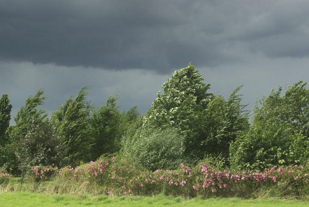 campagne normande . Le vent. verneusses.photo michel ducruet